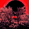 Photo painting