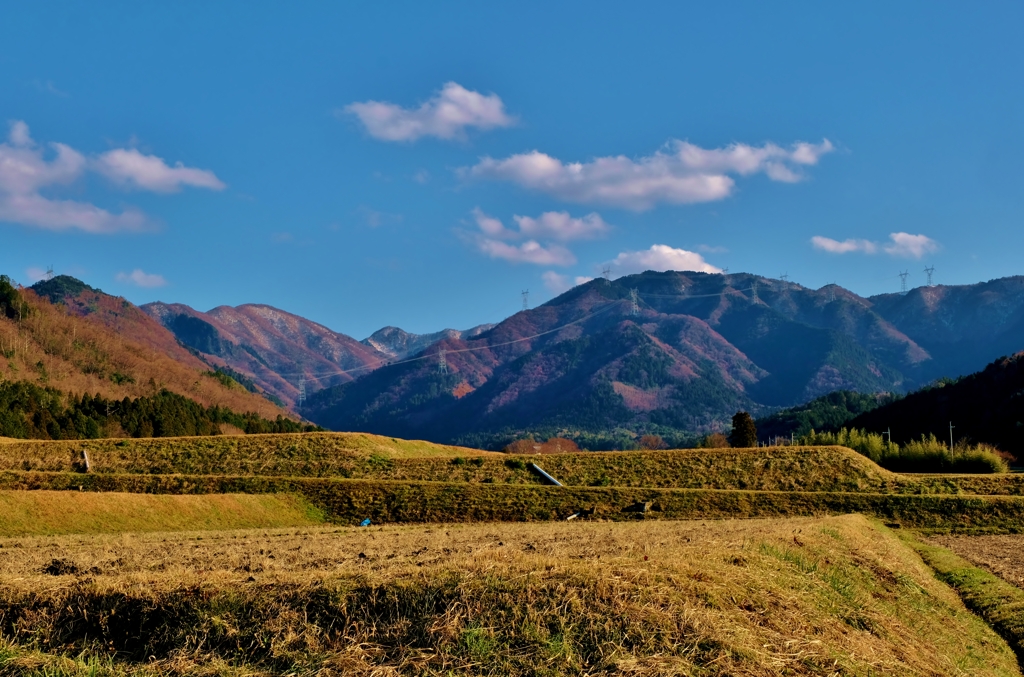 立春の山間