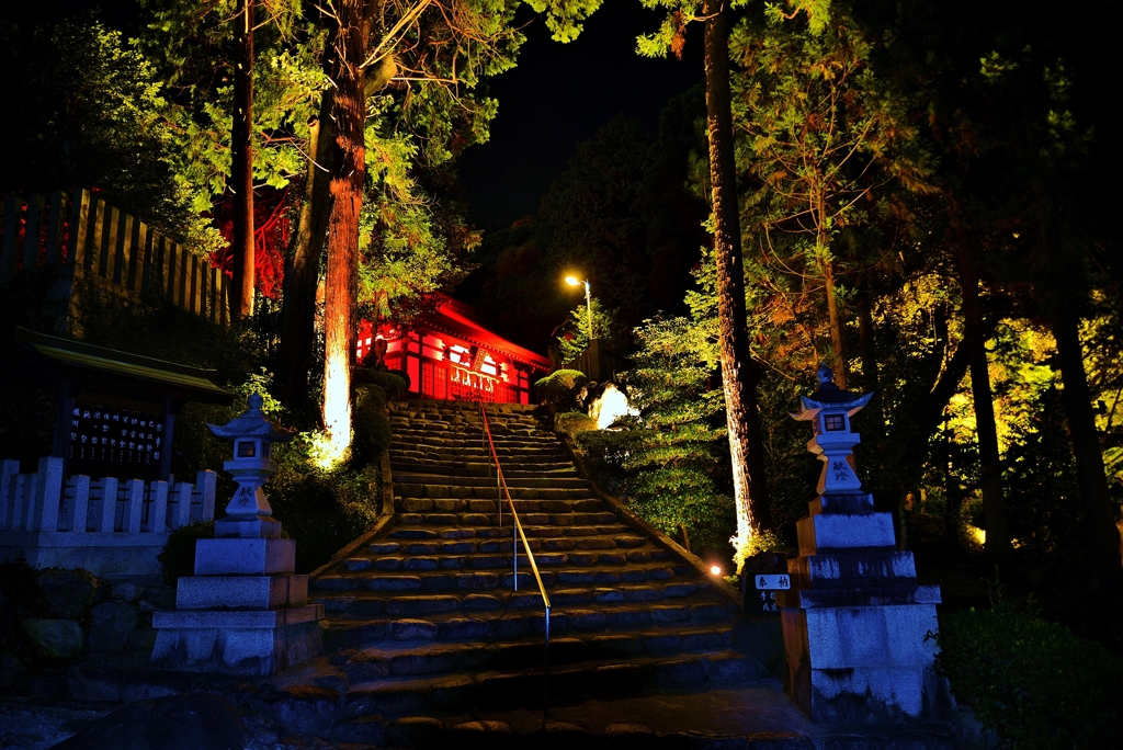 神あかり・胡宮神社　Ⅱ