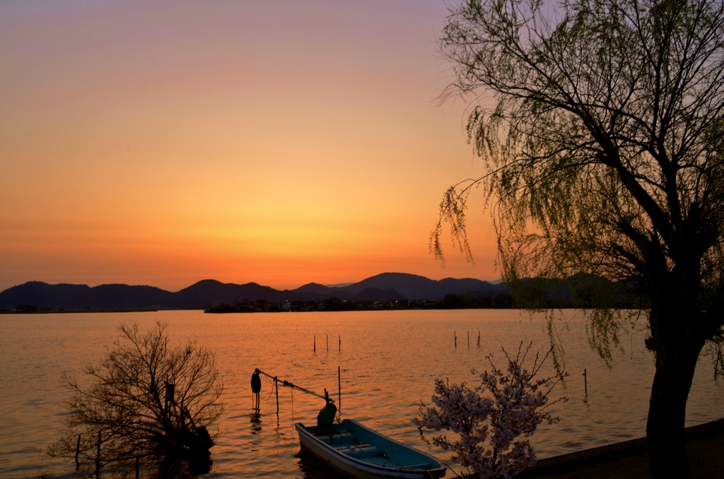 西の湖春夕暮れ