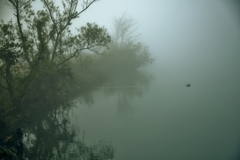 余呉湖の霧景