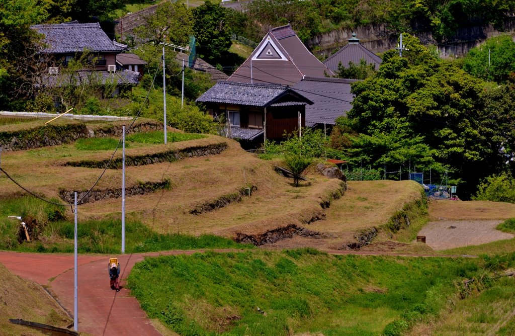 日引の棚田寸景　9-7