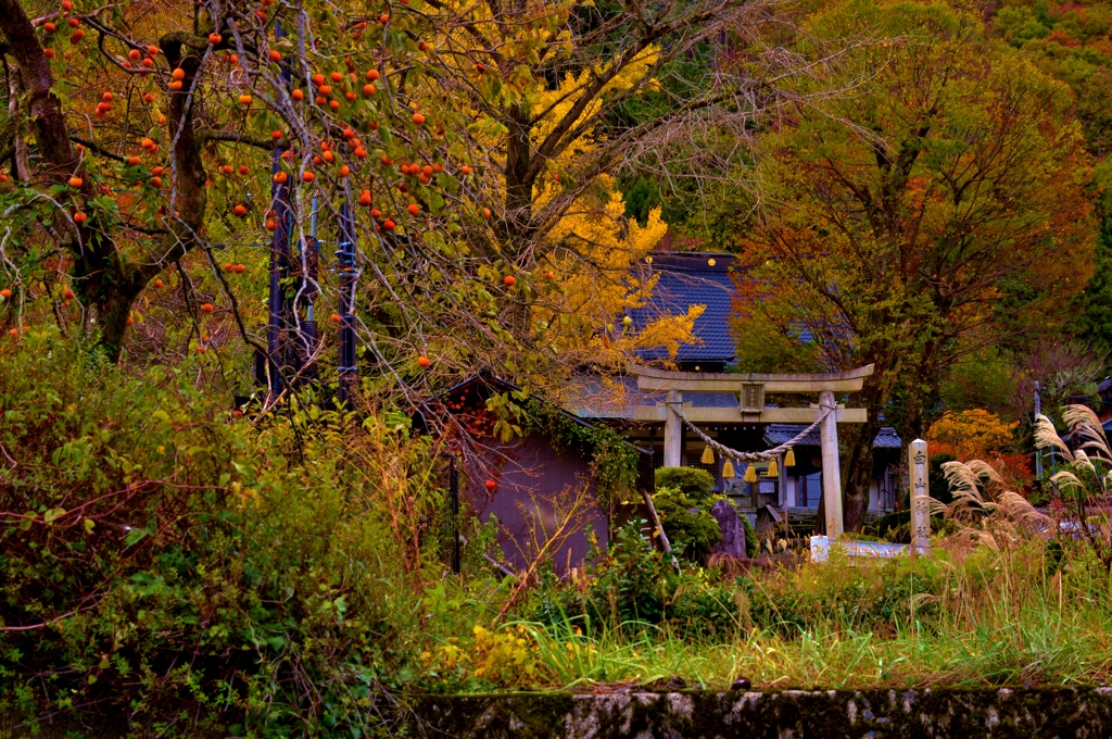 山間の晩秋の社