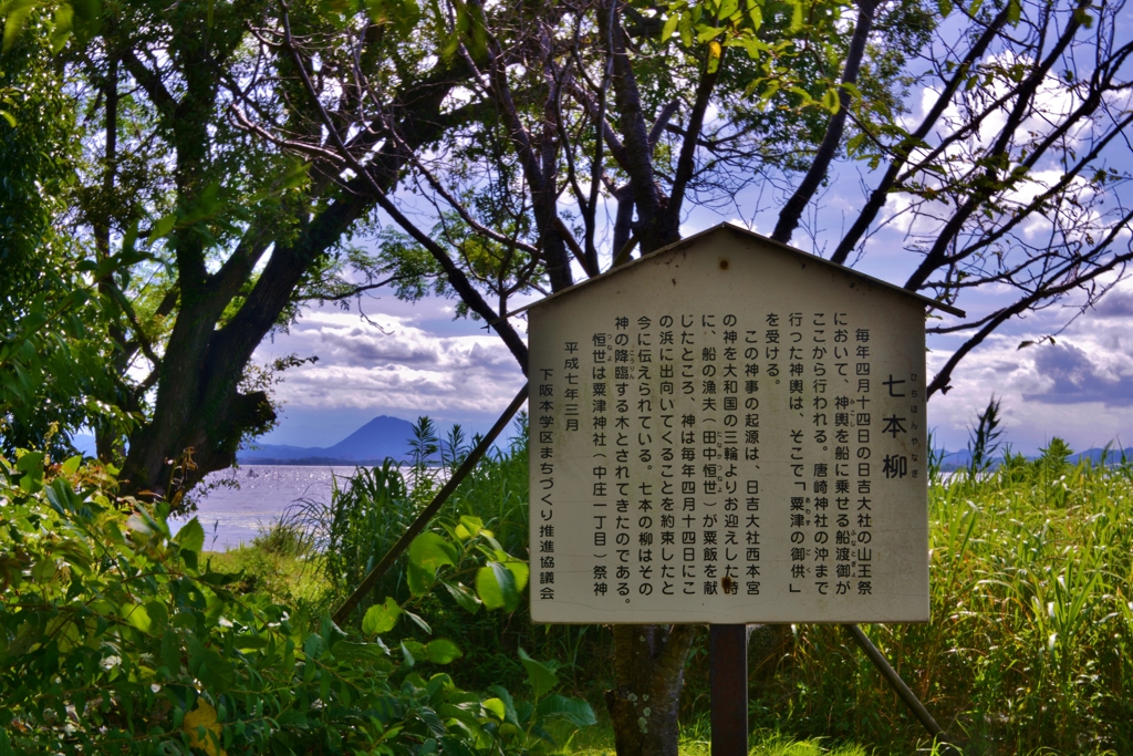 七本柳