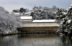 国宝彦根城雪景色