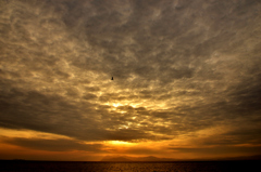 春まだき夕空