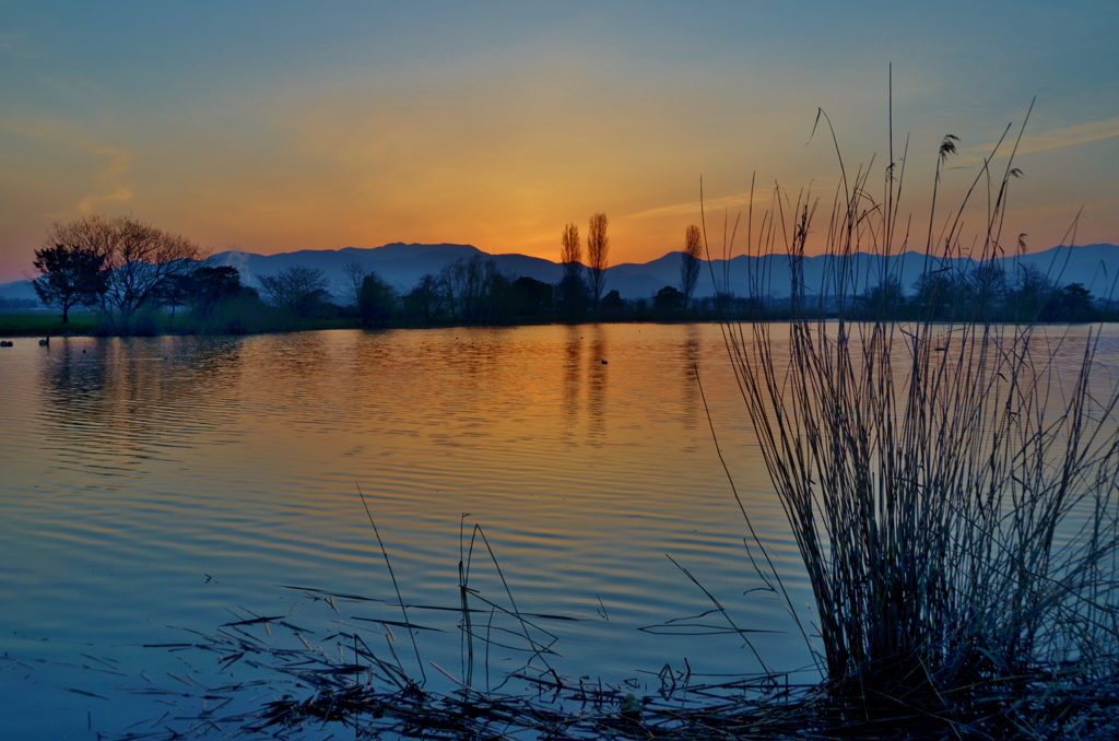 Dawn of Noda Swamp