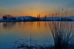 Dawn of Noda Swamp