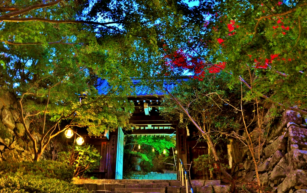 夕暮れの村雲御所瑞龍寺山門