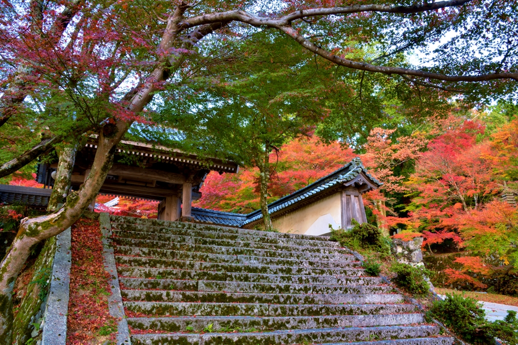秋誘う東光寺紅葉