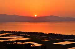 琵琶湖と水田の夕日　Ⅳ