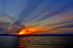 夕射