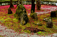 落葉庭園