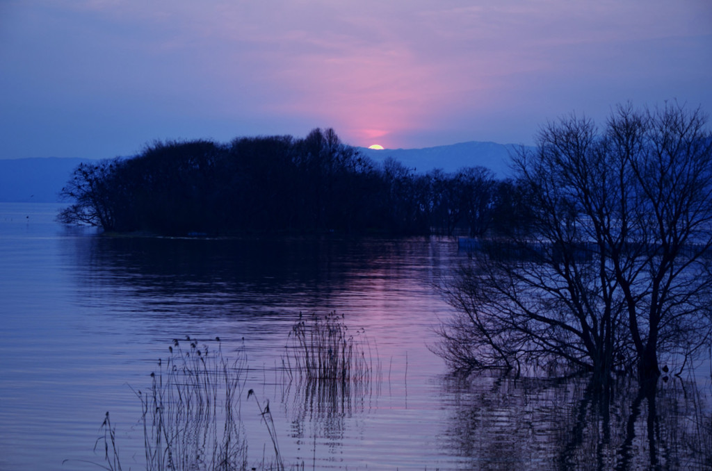 青い夕陽