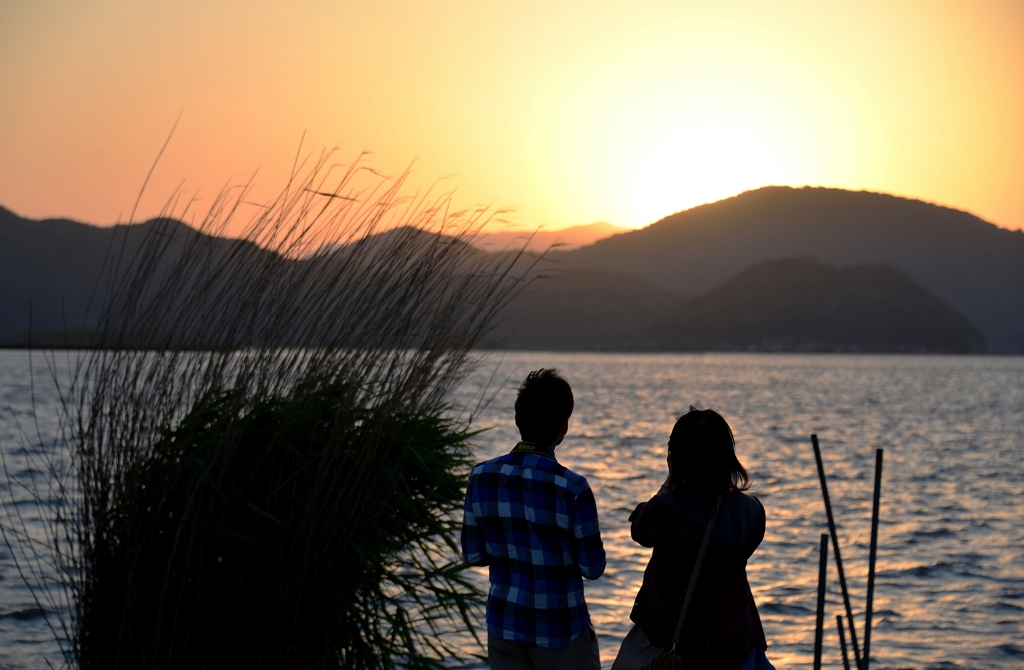 見つめて・・・