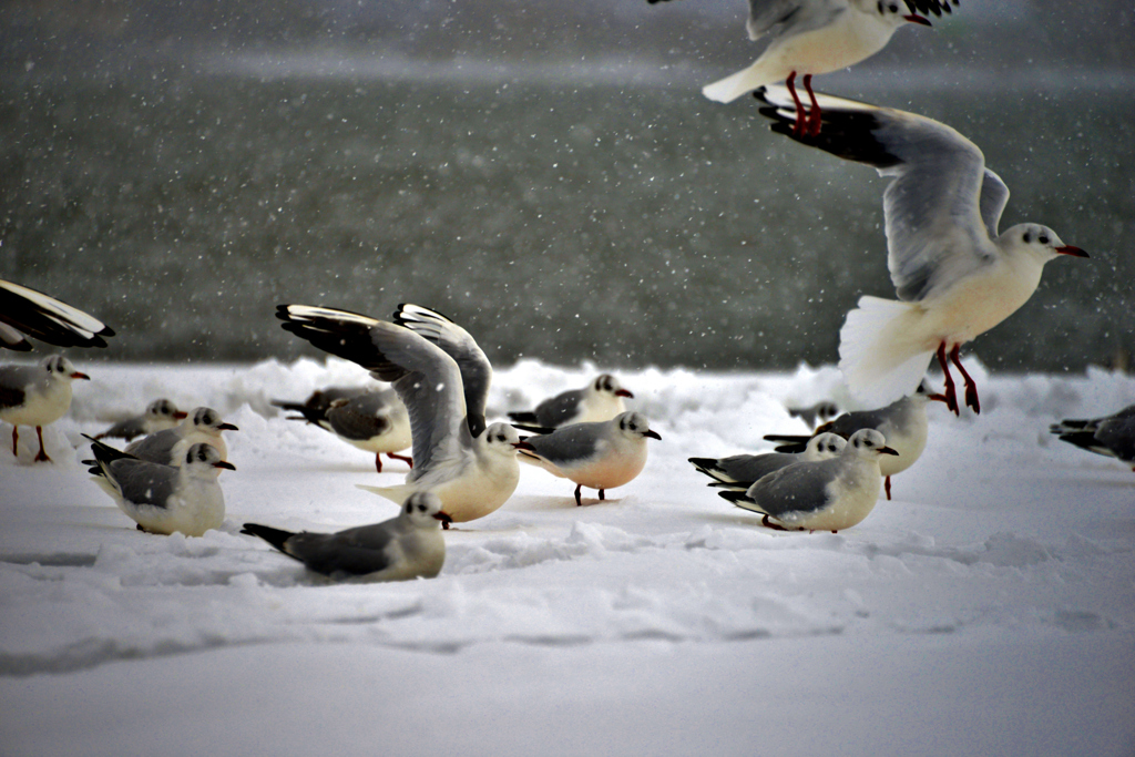 Take off