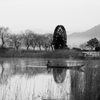 暁の水景