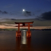 月夜の湖中鳥居