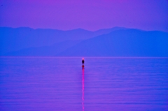 湖上の灯り