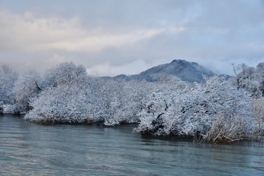 着雪