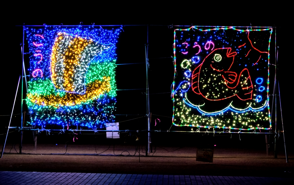 越前海岸の手作りイルミネーション