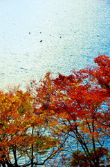 湖上の紅葉