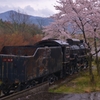 SL廃墟桜　Ⅲ