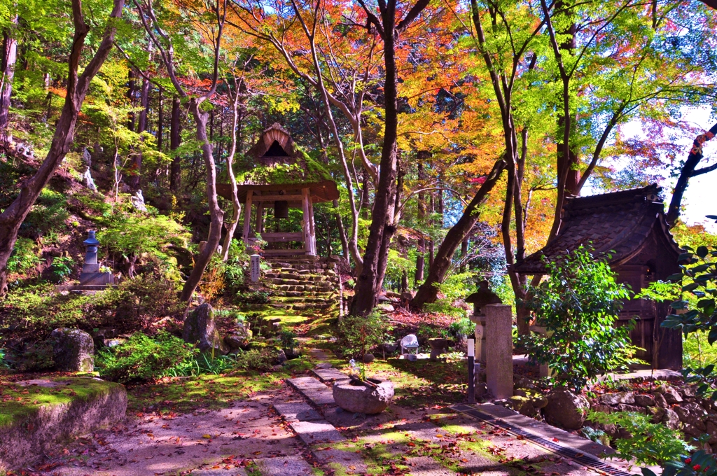 彦根の名刹延寿禅寺　秋ぶらり　4