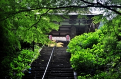 新緑の湖東三山金剛輪寺二天門