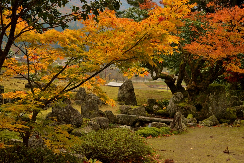 晩秋の旧秀隣寺庭園（興聖寺）