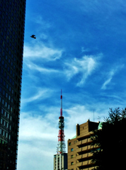 東京の空