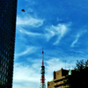 東京の空