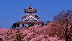 桜雲城