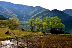 奥琵琶湖春風景　2-2