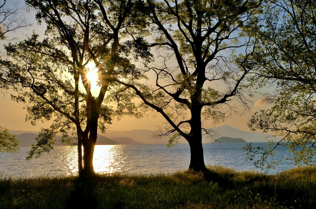 湖辺の朝景