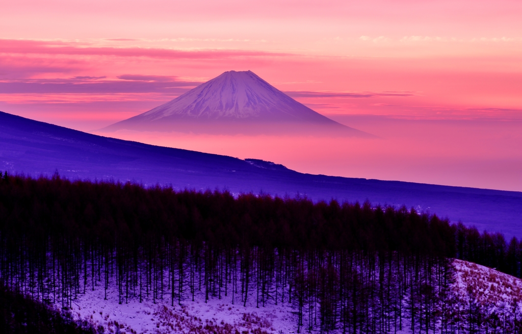 夜明けの富士