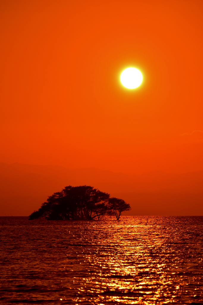 淡海夕日影