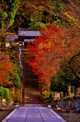 晩秋の酒波寺参道