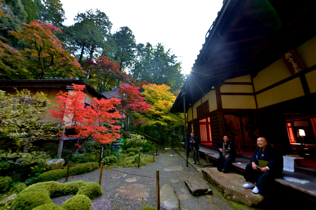 秋ブラ散歩金剛輪寺　7