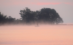 朝靄の漁