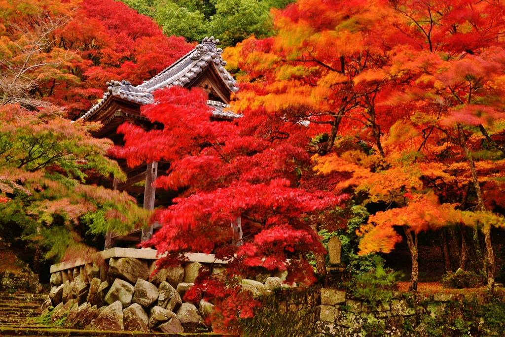 紅葉鐘楼