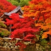 紅葉鐘楼