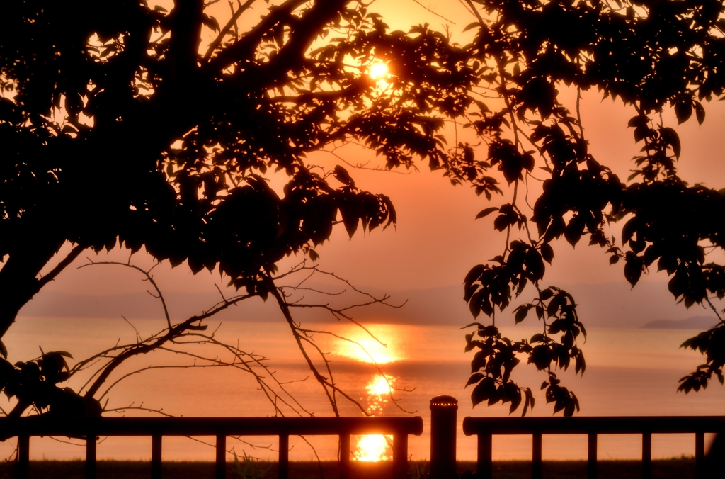 夕陰