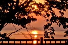 夕陰