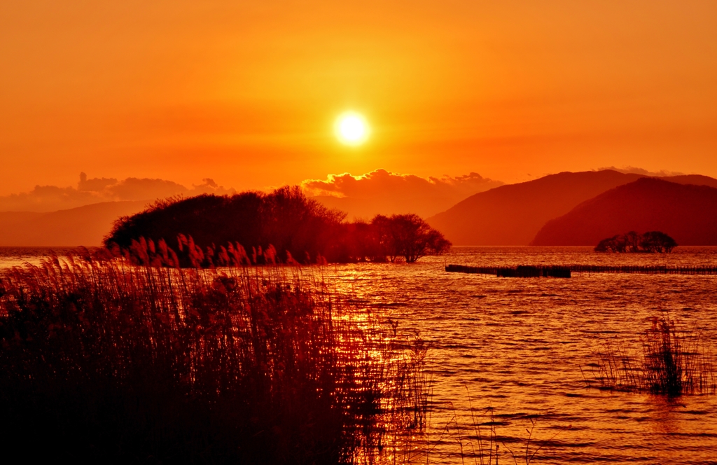 湖北夕映