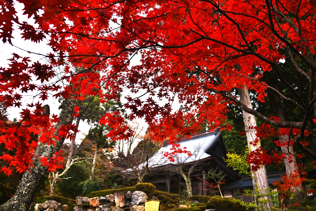 紅葉の石道寺