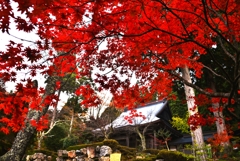 紅葉の石道寺