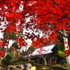 紅葉の石道寺