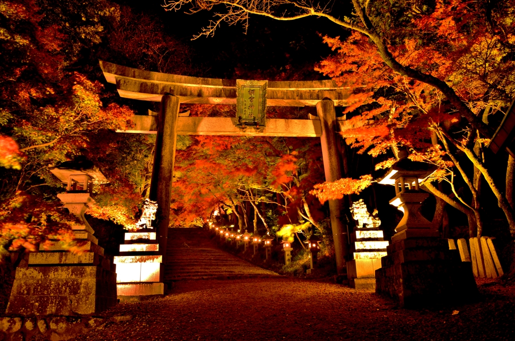 胡宮神社紅葉ライトアップ　5-1
