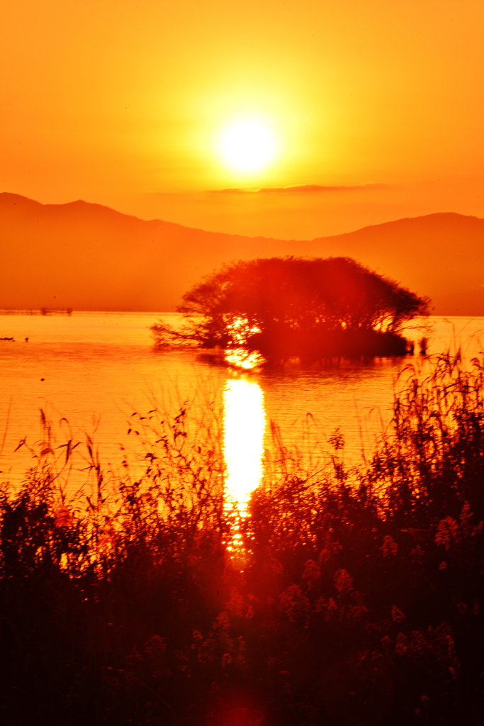 夕日がほほ笑む時